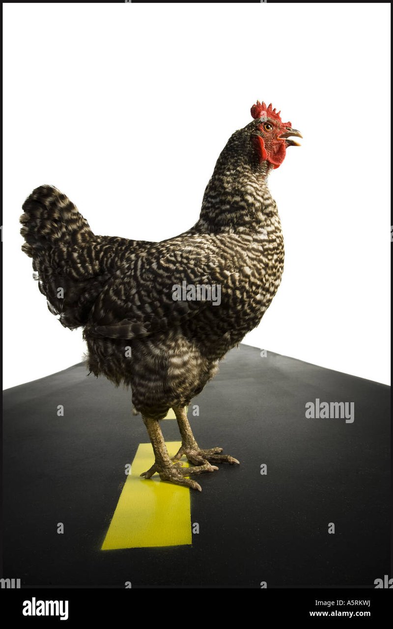 Image: Conócome lo nuevo del juego de azar en España: la carretera de Chicken Road