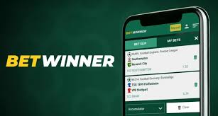 BetWinner Ivory Coast A Comprehensive Guide to Betting Success