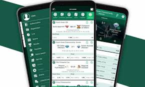BetWinner The Premier Betting Platform in Ukraine